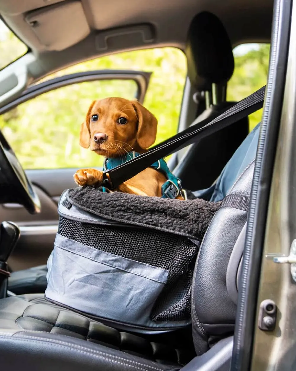 Henry Wag Pet Car Booster Seat