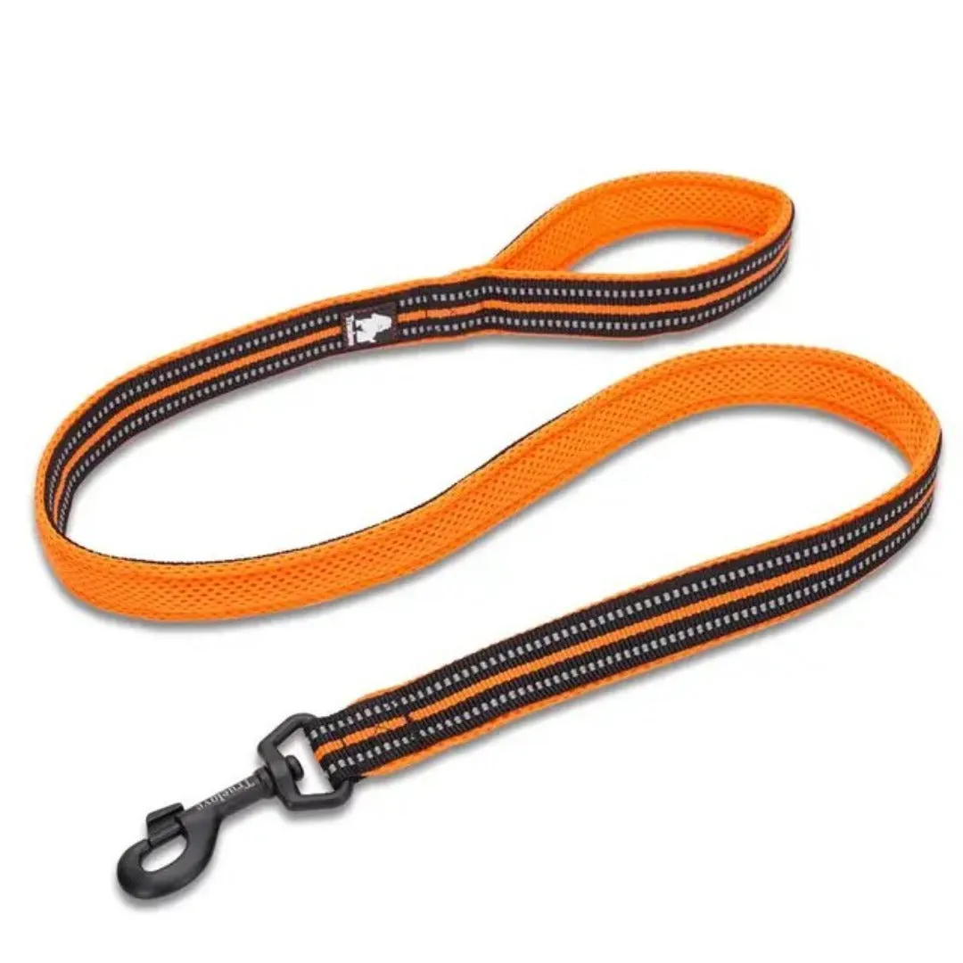 PetAffairs Reflective Safety Dog Leash (10 cm) Mesh-Padded Nylon