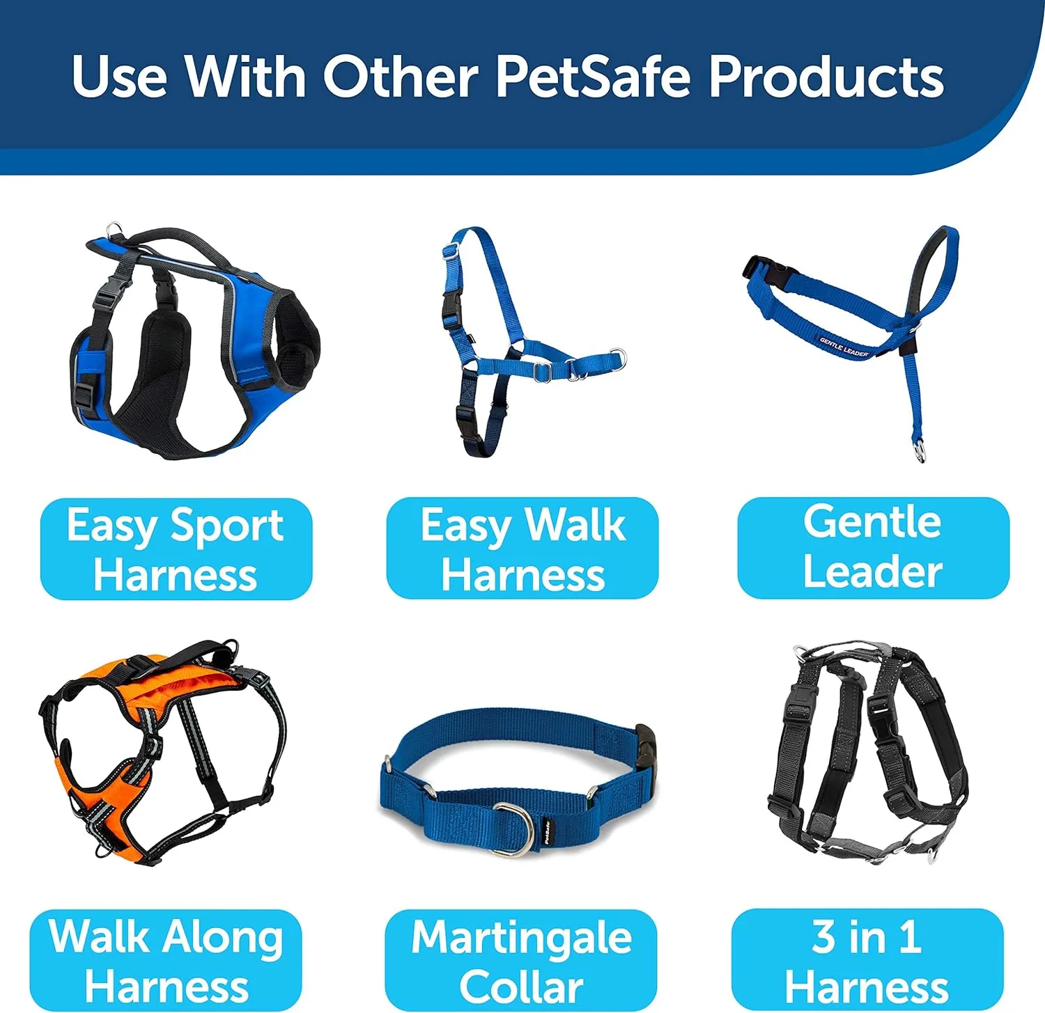 PetSafe Nylon Dog Leash  Strong, Durable, Traditional Style Leash with Easy to Use Bolt Snap  1" x 6', Royal Blue