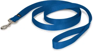 PetSafe Nylon Dog Leash  Strong, Durable, Traditional Style Leash with Easy to Use Bolt Snap  1" x 6', Royal Blue
