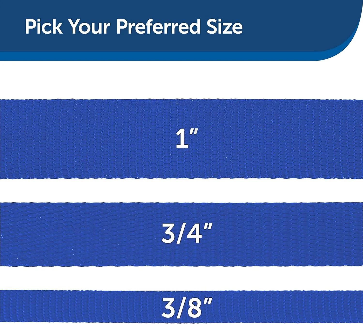 PetSafe Nylon Dog Leash  Strong, Durable, Traditional Style Leash with Easy to Use Bolt Snap  1" x 6', Royal Blue