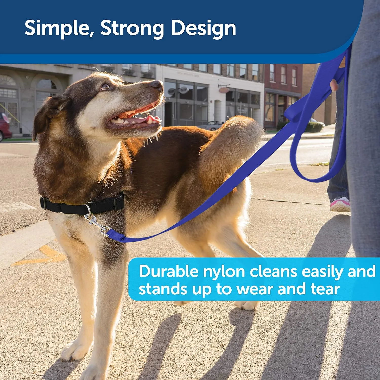 PetSafe Nylon Dog Leash  Strong, Durable, Traditional Style Leash with Easy to Use Bolt Snap  1" x 6', Royal Blue